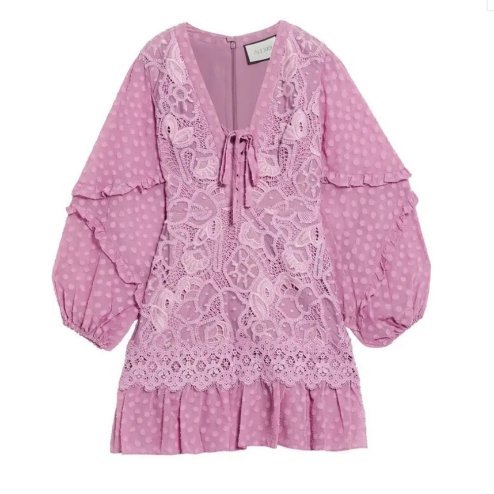Alexis Malicha Crocheted Lace Mini Dress